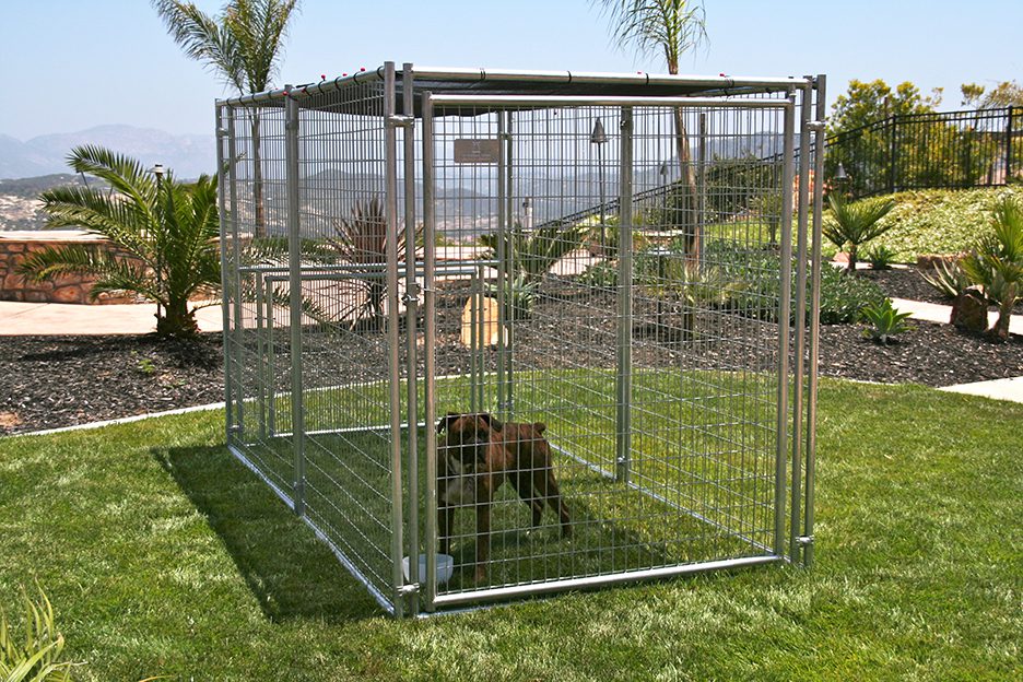 a dog in the 5' x 10' Galvanized Durango Kennel with a shade top