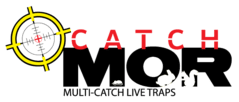 CatchMor multi-catch live traps