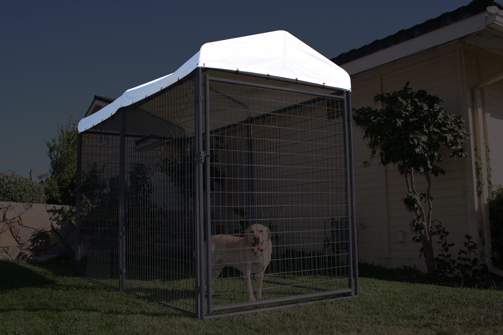 A dog in a cage under a tent.