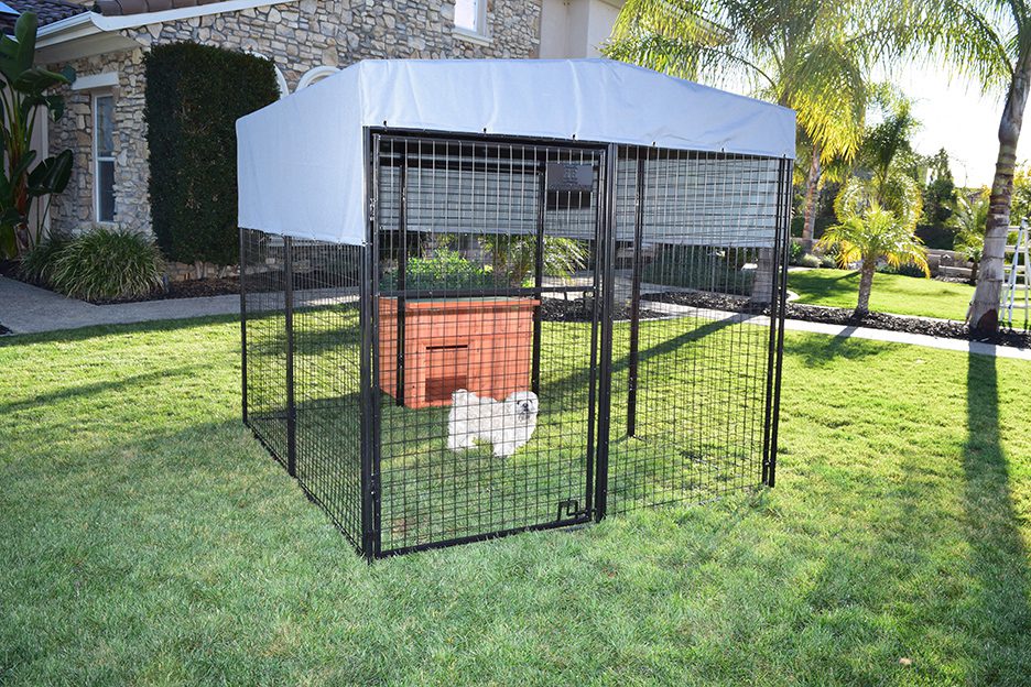 a small dog inside a pen with a dog house