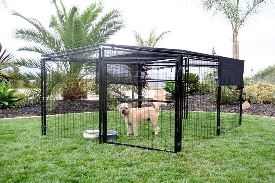 a medium sized dog in a welded wire pen