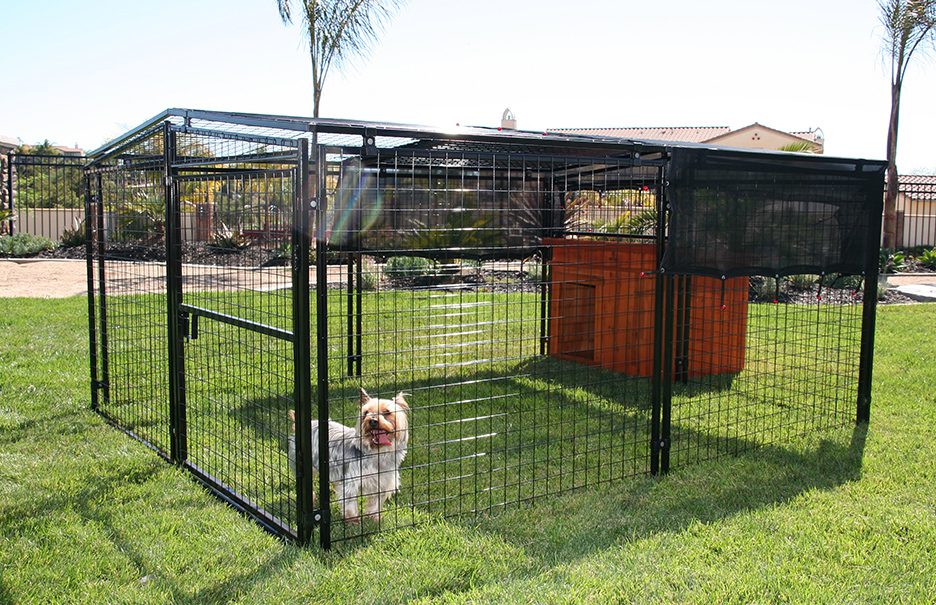 a small dog in a wired pen with a dog house