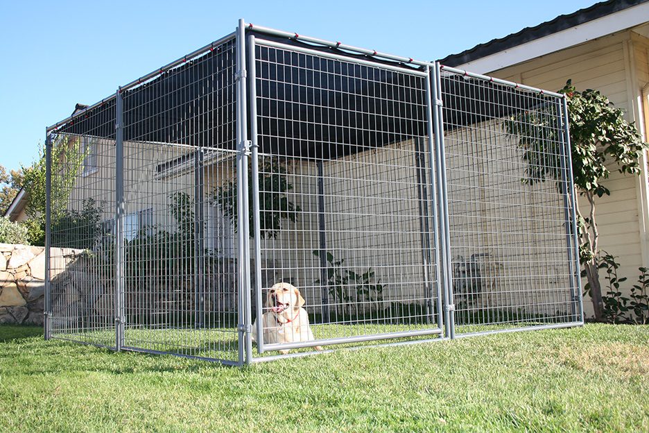 a dog inside a pen with a 10x10 Shade Top