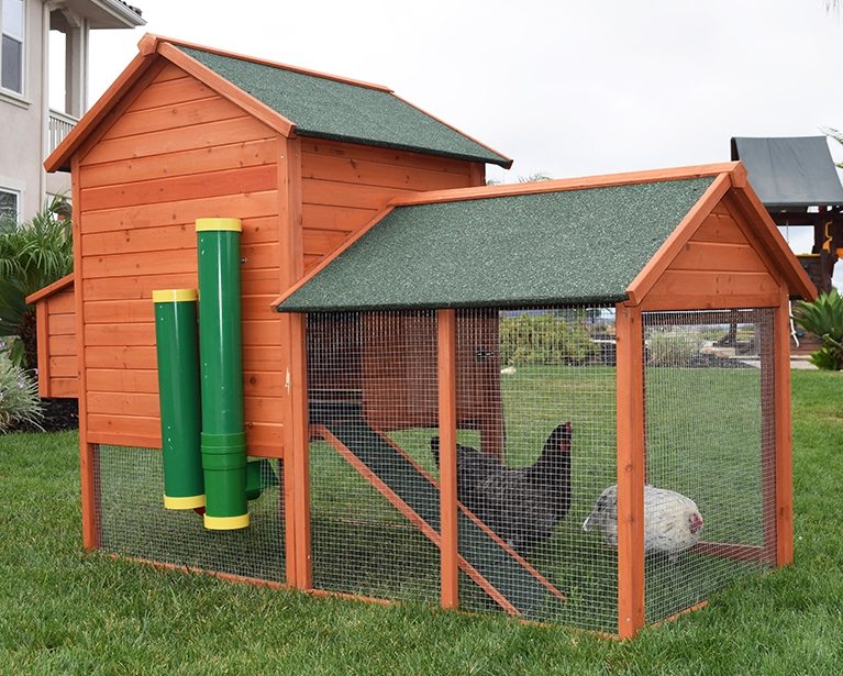Hens in a raised coop with a poultry feeder and waterer