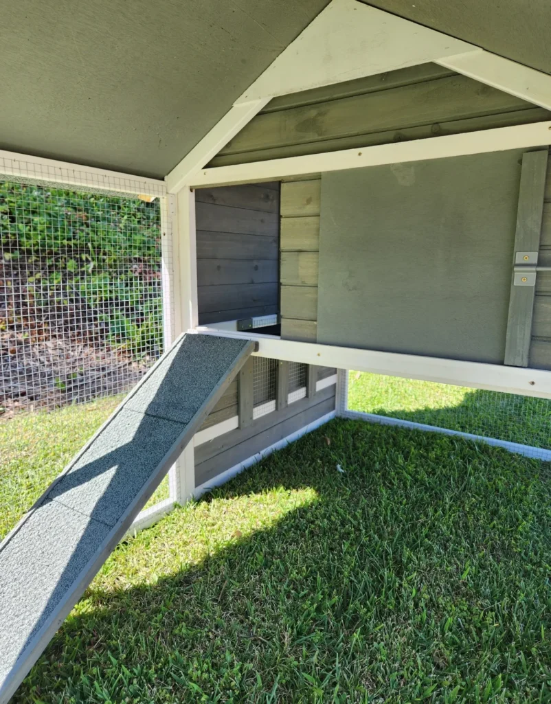 Interior of wooden chicken coop with ramp