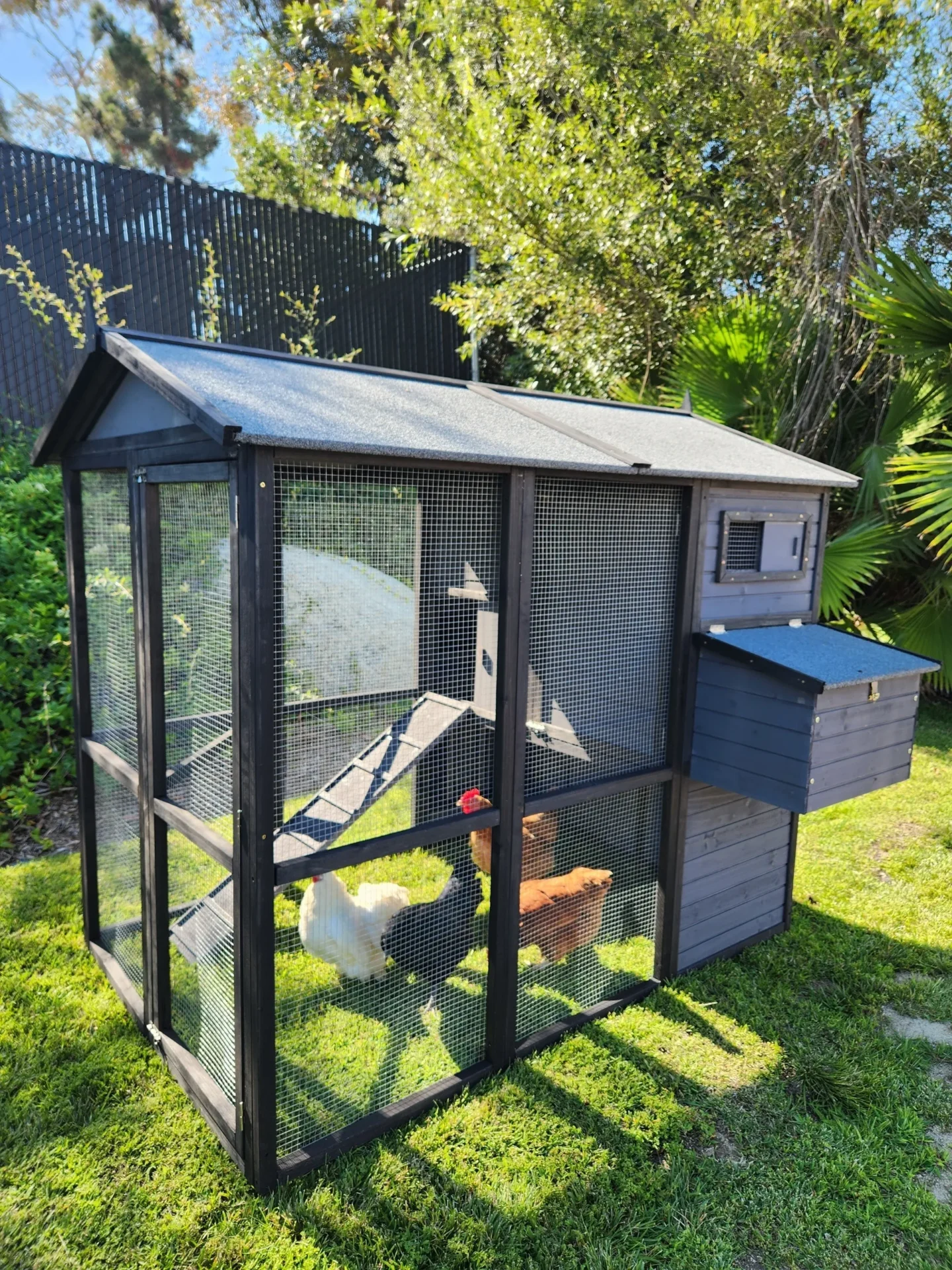 wood chicken coops | solid fir chicken coops by RUGGED RANCH